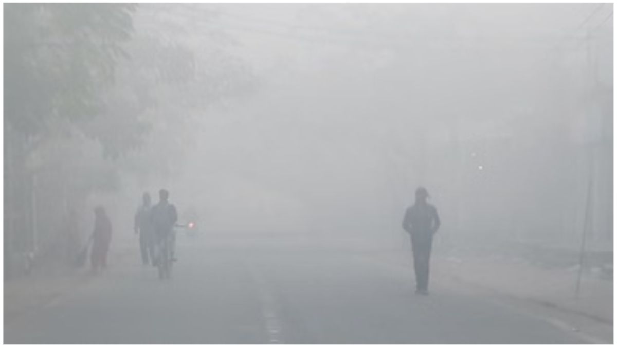 "उत्तर भारत में घना कोहरा, दिल्ली से बिहार तक सड़कों पर कम दृश्यता के बीच वाहन धीमी गति से चलते हुए"