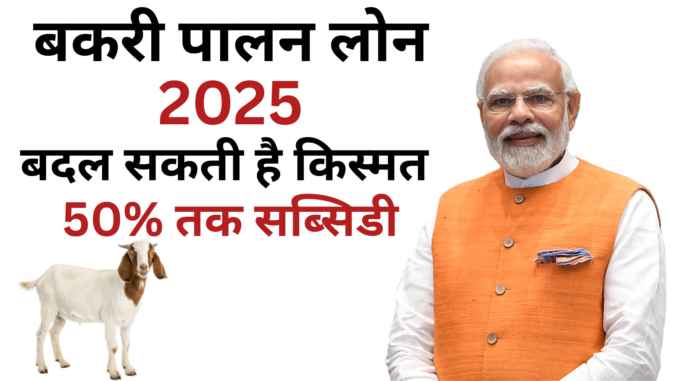 ग्रामीण क्षेत्र में बकरी पालन करते किसान, Goat Farming व्यवसाय की वास्तविक तस्वीर