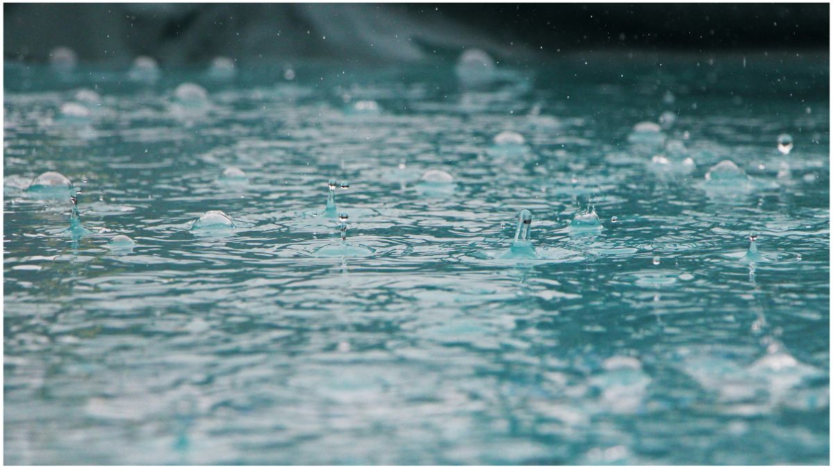 उत्तर प्रदेश में घने कोहरे के बीच ठंडा मौसम, IMD ने बारिश और कोहरे का अलर्ट जारी किया