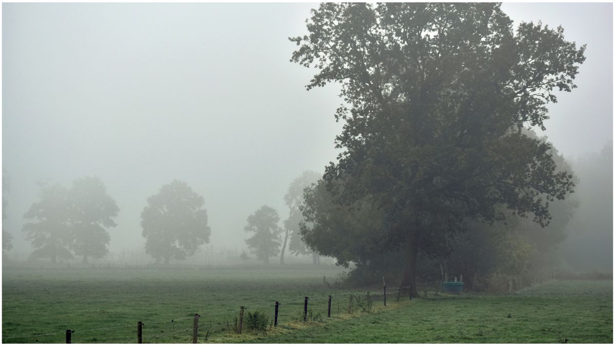 उत्तर भारत में घना कोहरा और शीतलहर, 18 जनवरी के लिए IMD का मौसम अलर्ट जारी