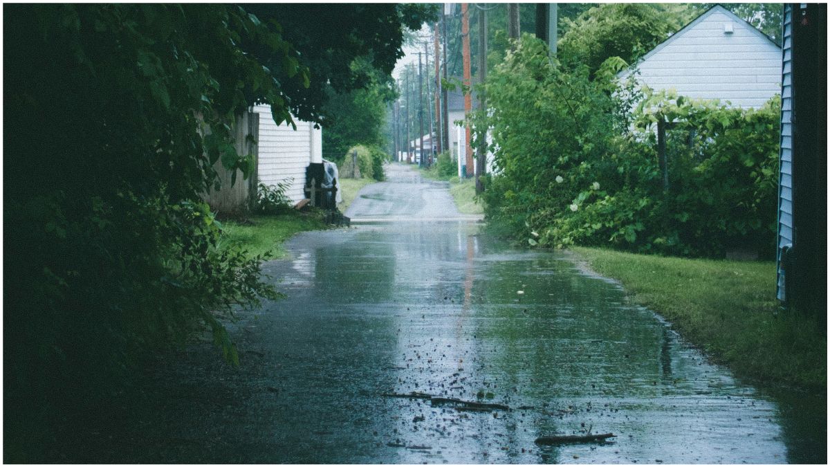 दो नए पश्चिमी विक्षोभ के कारण उत्तर भारत में बारिश और बर्फबारी, मौसम विभाग ने कई राज्यों में तेज हवाओं और बदलते मौसम की चेतावनी जारी की